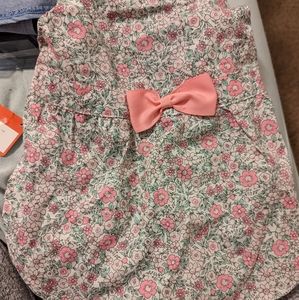 The worthy dog shirt